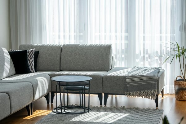 Transform your seaside garden in the uk: the definitive diy guide for a breathtaking makeover