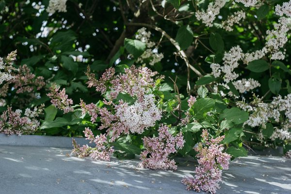 Transform your uk mid-century modern home with innovative smart lighting solutions